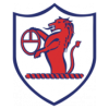 https://img.szfungli.com/img/football/team/11fb72f7b5eacfc881ee11bac75871fa.png