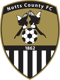 https://img.szfungli.com/img/football/team/9e230c89a846b9cadf91884918fa7611.png