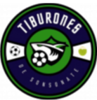 https://img.szfungli.com/img/football/team/ba0a7785a0297f1a4863baf5365ca964.png